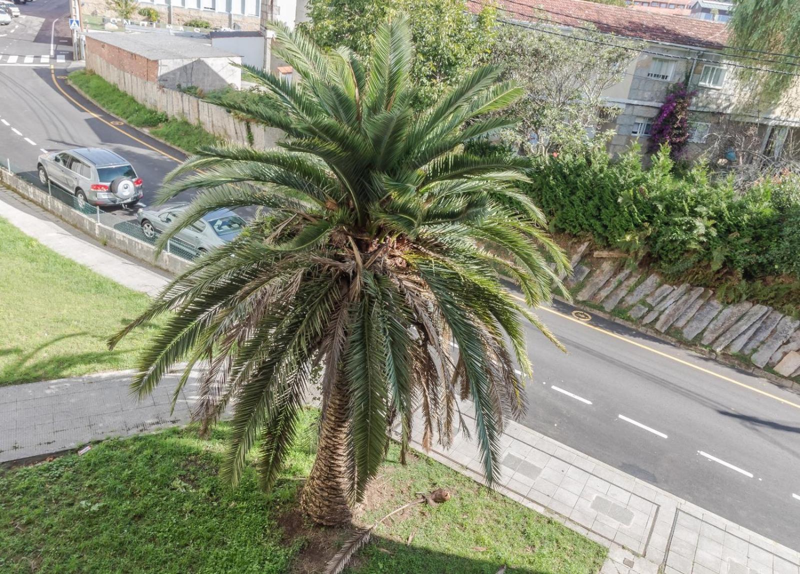 Apartamento Peces De Madera Sanxenxo Exteriér fotografie